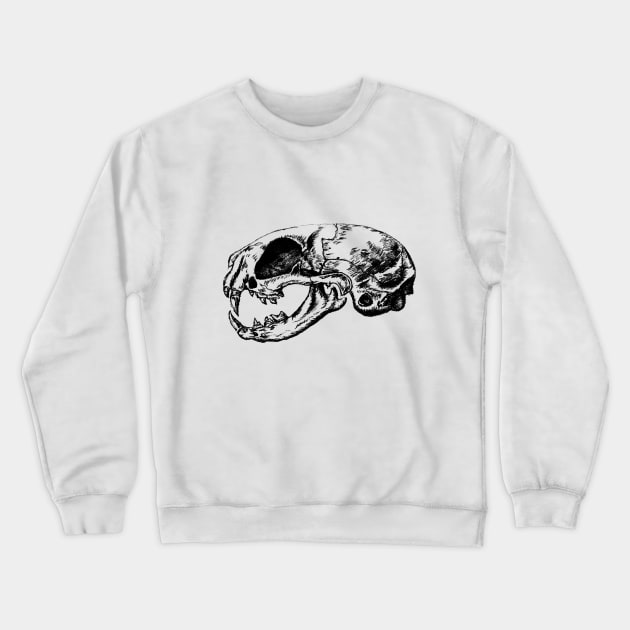 Anatomical Cat Skull  | Animal Skeleton | Anatomical Art | Veterinarian Gift | Medical Student Gift Crewneck Sweatshirt by kaleighdayart